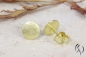 Preview: Ohrstecker Andreis, Gold 585/-, mattgekratzt