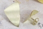 Preview: Ohrstecker Selan, Gold 585/-, strichmatt