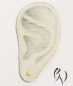 Preview: Ohrstecker Zerknitterte Winzlinge, Gold 585/-