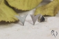 Preview: Ohrstecker Chaba, Platin 950/-, strichmatt