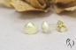 Preview: Ohrstecker Leyti, Gold 585/-