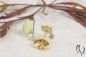 Preview: Ohrstecker Sira, Gold 750/- mit Brillant