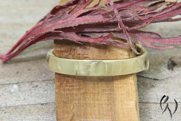 Ring Delaila, Gold 585/-